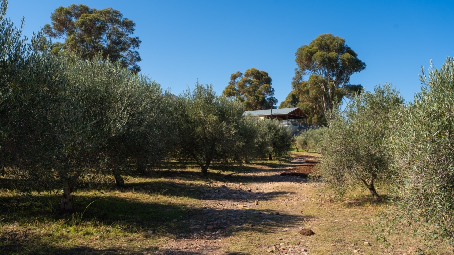 11 Bedroom Property for Sale in Robertson Western Cape